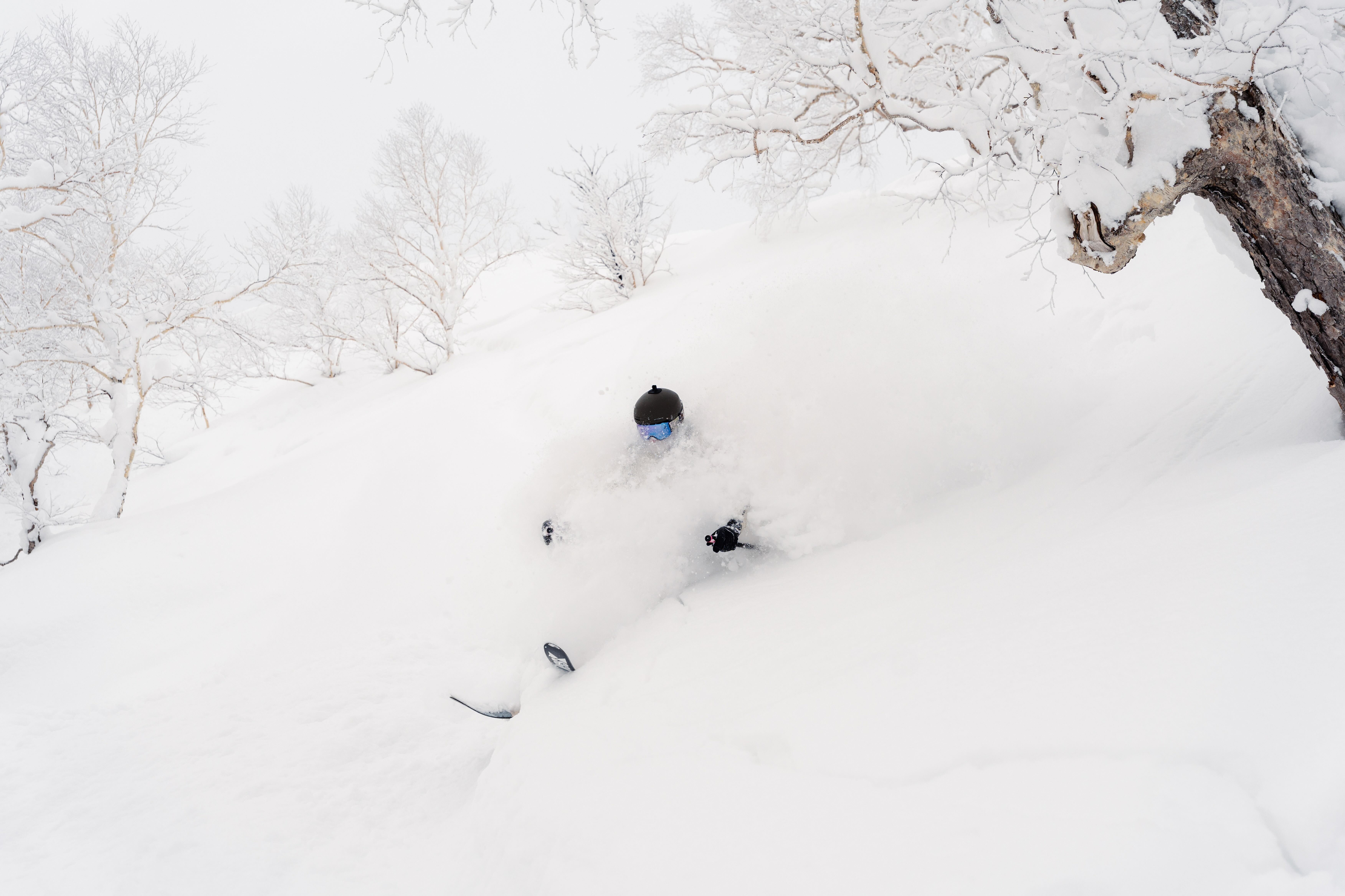 Buried in deep powder