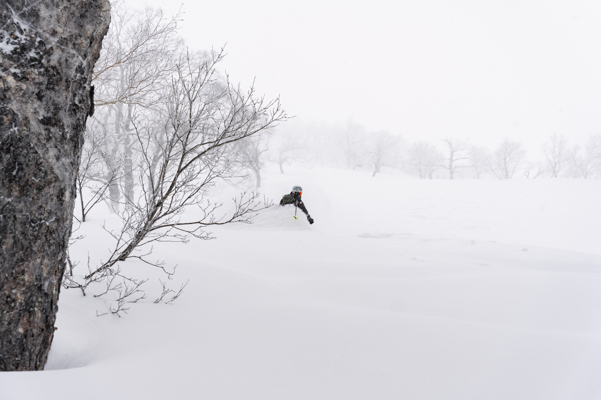 Cat skiing