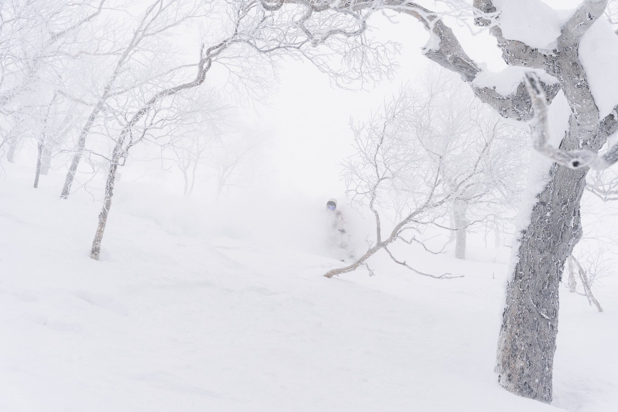 Deep powder ghost trees