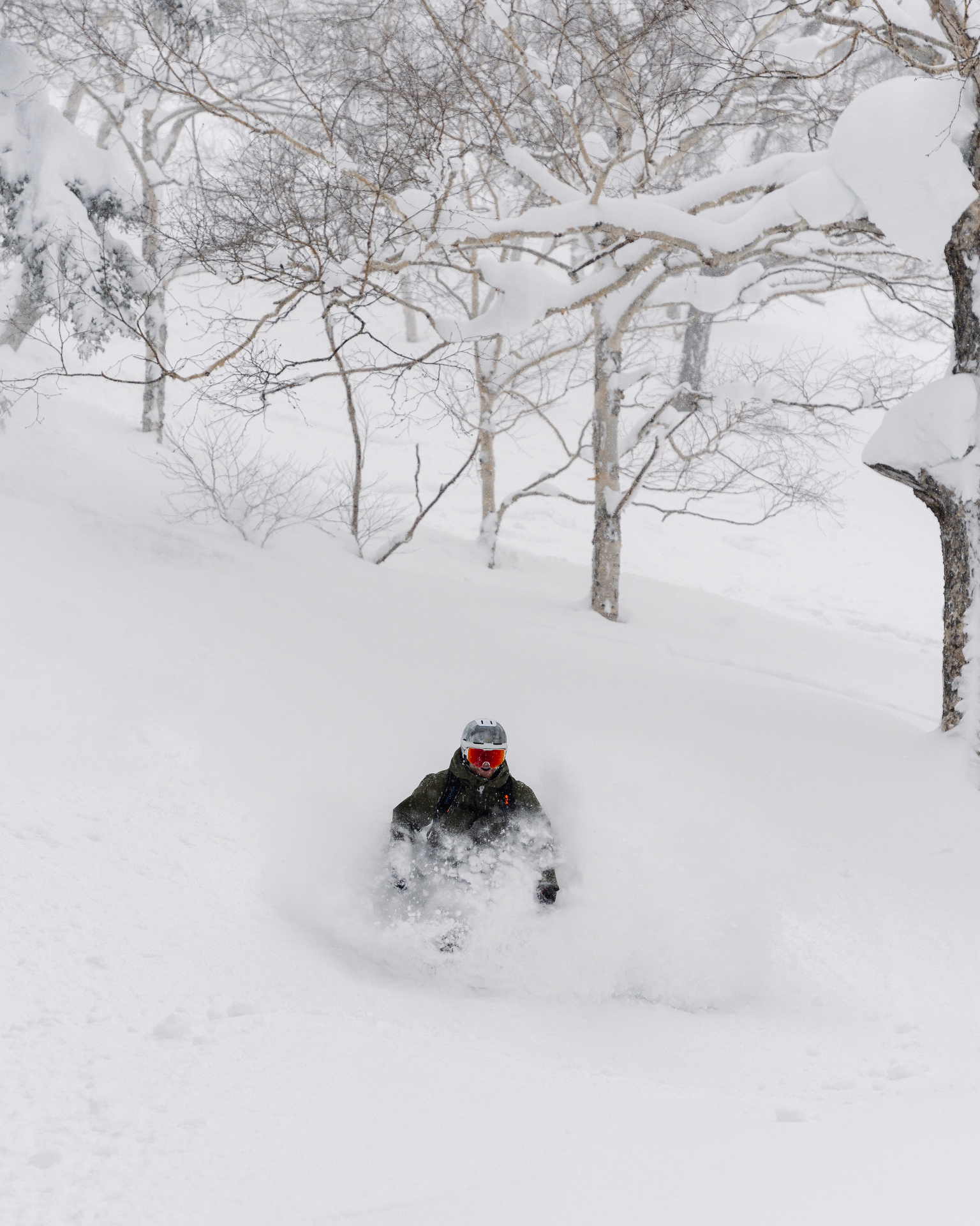 Deep powder trees