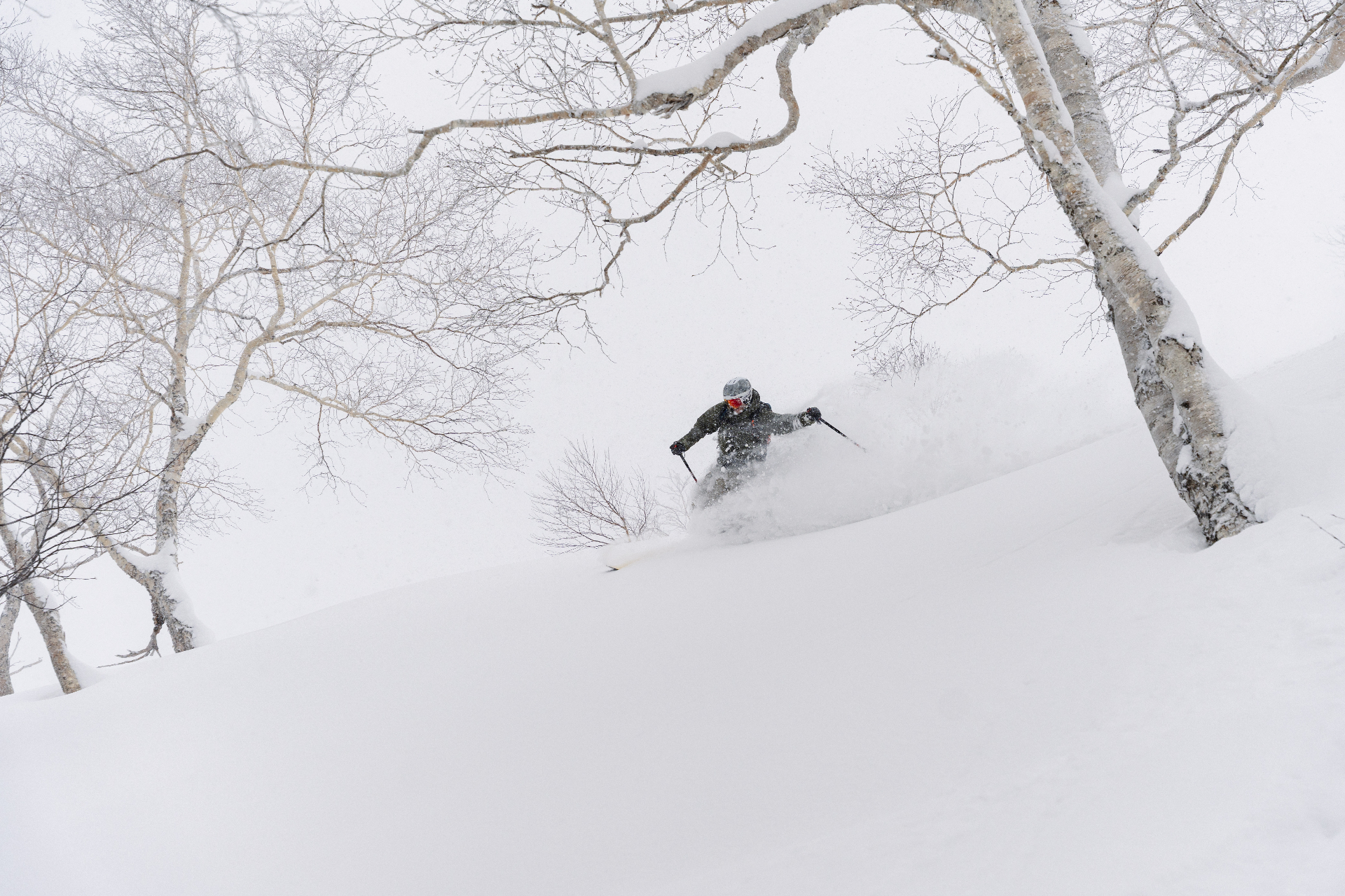 Tree run