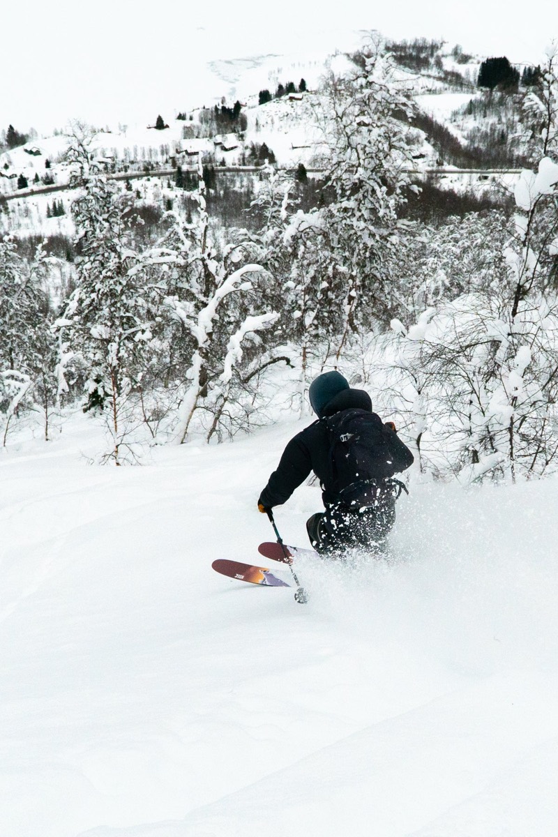 Skier on SGN Togga in deep powder between birch trees